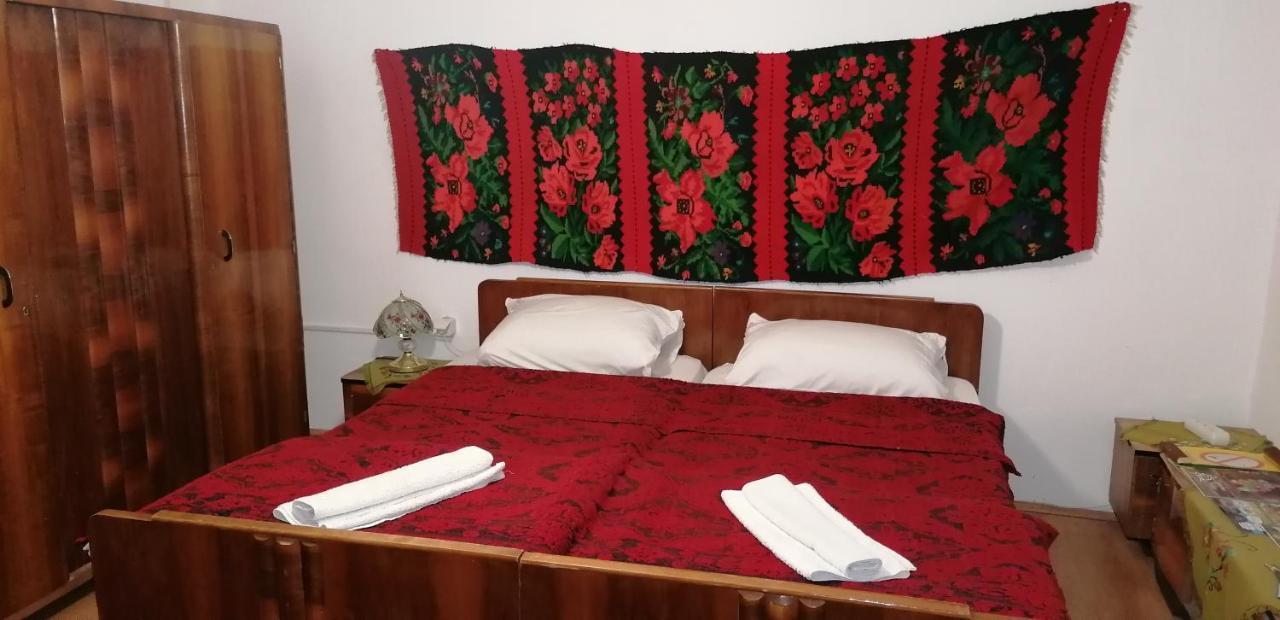 Etno Apartmani "Vlaska Kuca" Kladovo Dış mekan fotoğraf