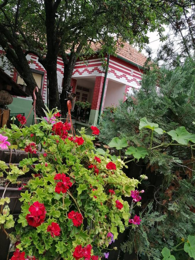 Etno Apartmani "Vlaska Kuca" Kladovo Dış mekan fotoğraf