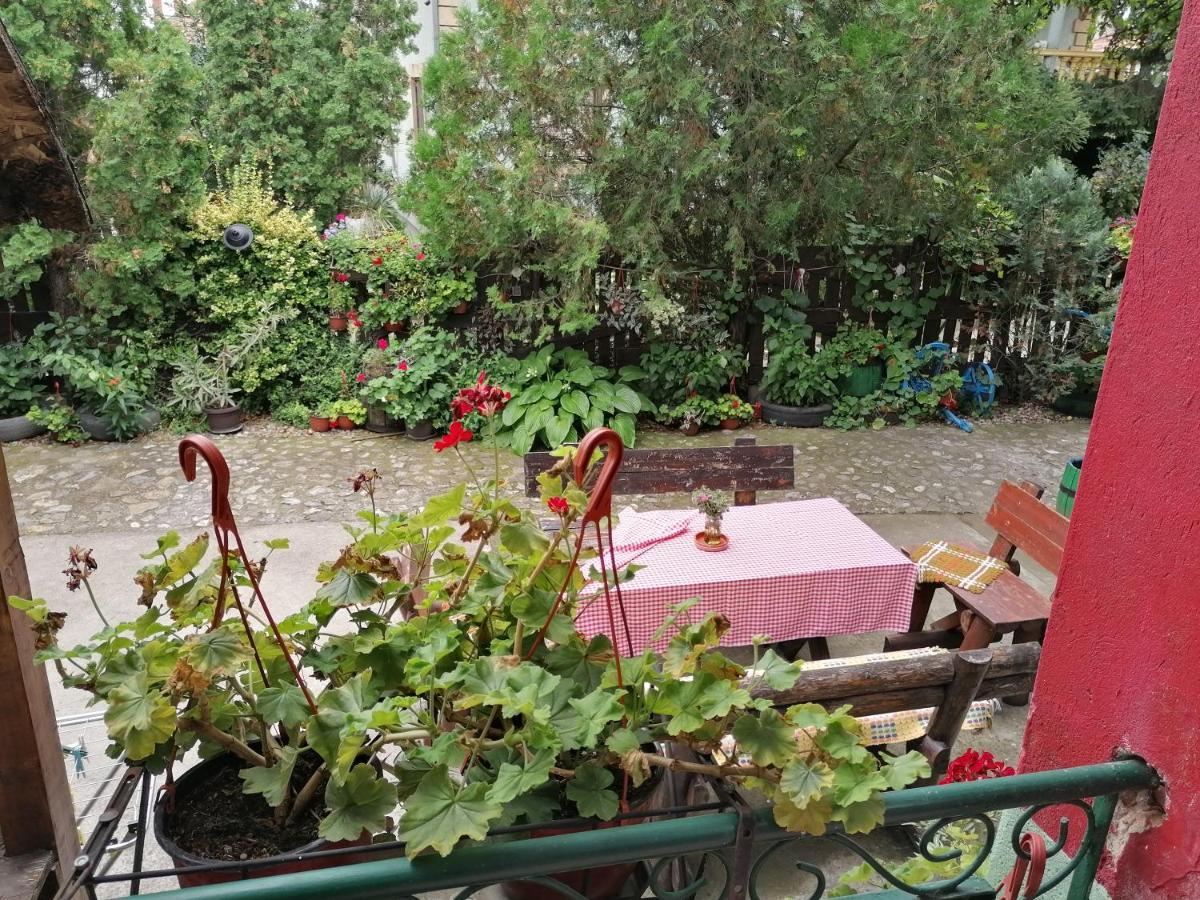 Etno Apartmani "Vlaska Kuca" Kladovo Dış mekan fotoğraf